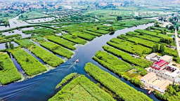 中国式现代化河北场景丨建设天蓝地绿水秀的美丽河北_fororder_微信图片_20221123121209