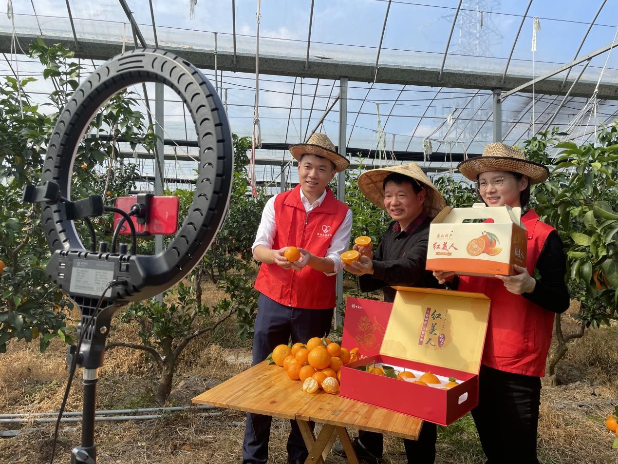 浙江镇海：“党建红”照亮乡村振兴“幸福路”