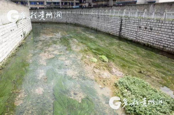 （大生态）贵州各地“民间河长”:保护环境就是保护生命