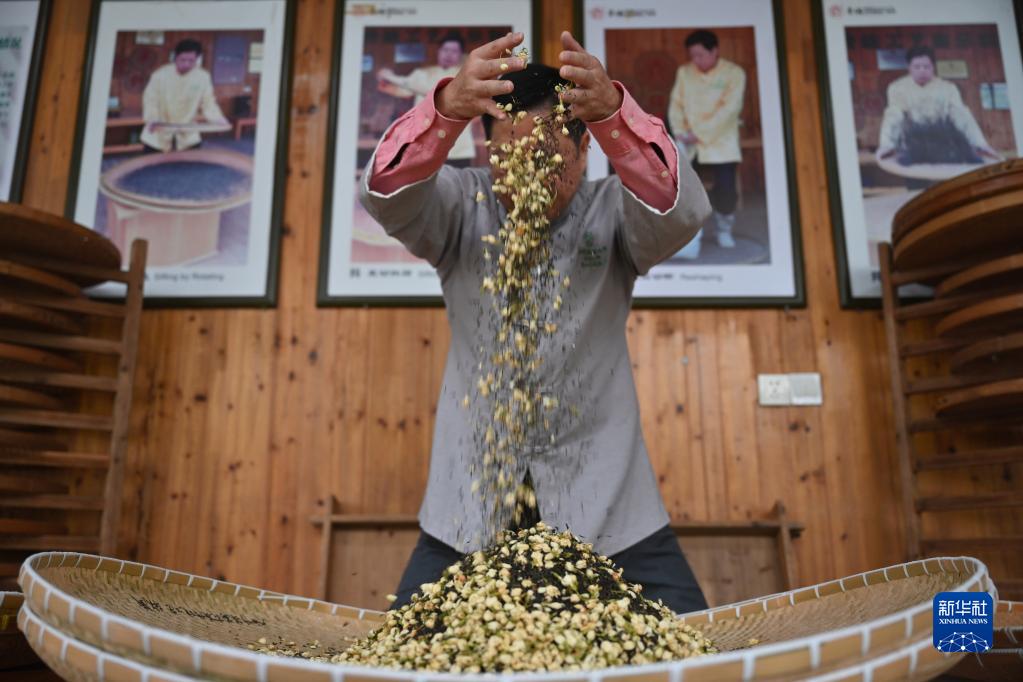 福州：茉莉花茶的傳統窨制工藝