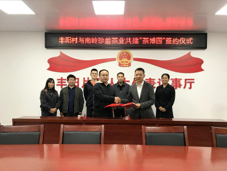 小茶叶成为乡村振兴的致富叶_fororder_小茶叶成为乡村振兴的致富叶1287