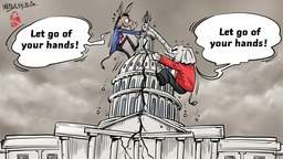 【Editorial Cartoon】The U.S bracing for a split Congress