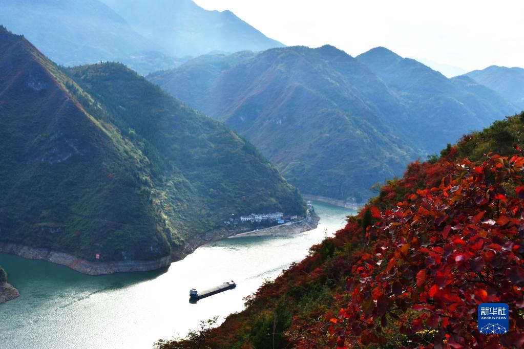 重慶巫山：紅葉映峽江