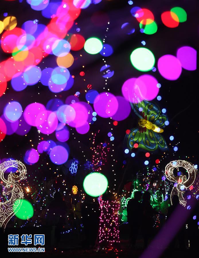 山东郯城:绚烂彩灯迎元宵 山东郯城:绚烂彩灯迎元宵