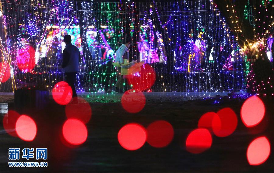 山东郯城:绚烂彩灯迎元宵 山东郯城:绚烂彩灯迎元宵