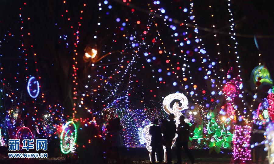 山东郯城:绚烂彩灯迎元宵 山东郯城:绚烂彩灯迎元宵