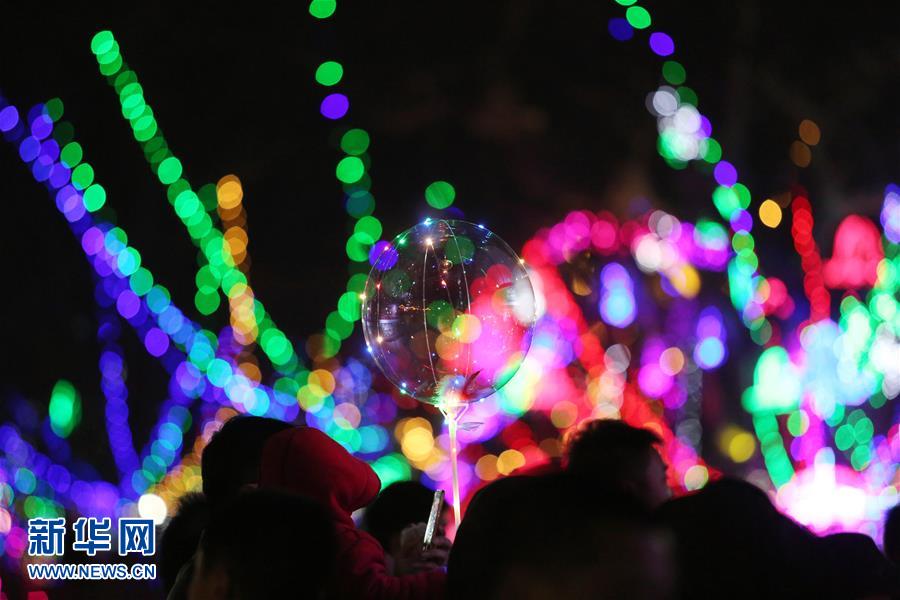 山东郯城:绚烂彩灯迎元宵 山东郯城:绚烂彩灯迎元宵