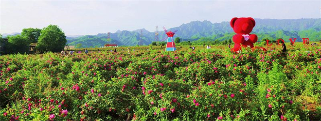 （转载）守护绿水青山 厚植最美底色——宝鸡市渭滨区攻坚克难加强秦岭生态环境保护工作巡礼_fororder_333