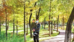 丽江市打造城市公园建设绿美城市