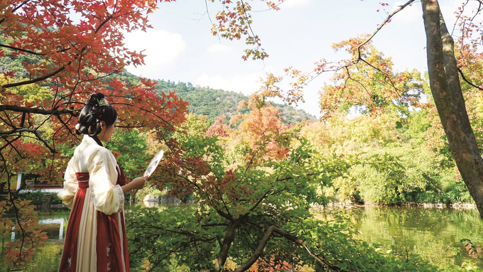 苏州天平山的红枫进入最佳观赏期