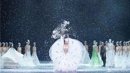 舞劇《孔雀》亮相南京 楊麗萍出演“冬”之篇章引關注