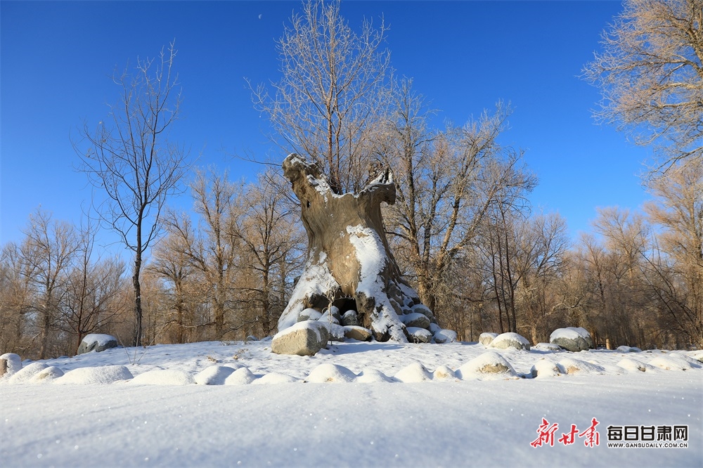 【轮播图】邂逅金塔胡杨林雪景_fororder_4