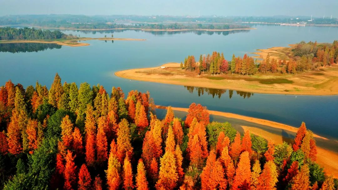 浙江兰溪：兰湖旅游度假区将免费对外开放！美景美游将“近在咫尺”_fororder_图片2