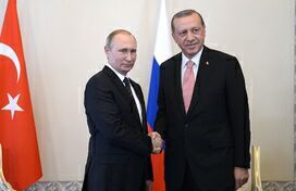 土耳其总统：希望扩大与俄罗斯的合作