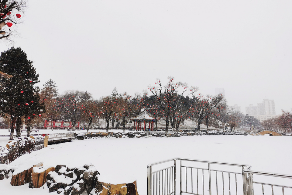 公园里的雪景图片图片