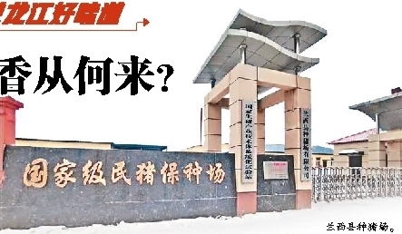 这股肉香从何来？