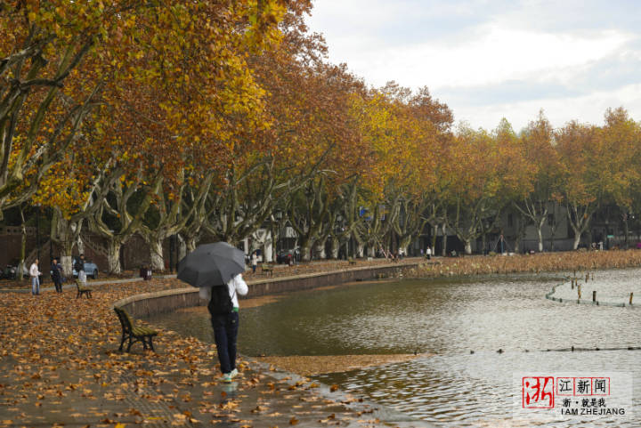 雷電暴雨突襲杭州 超強寒潮已在路上_fororder_1669638195360_6384a833159bb86fa990a7d9