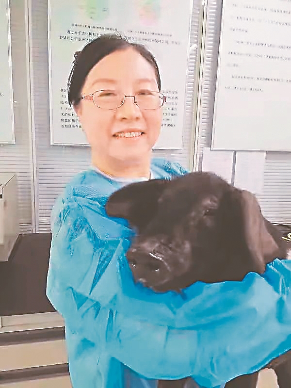 这股肉香从何来？