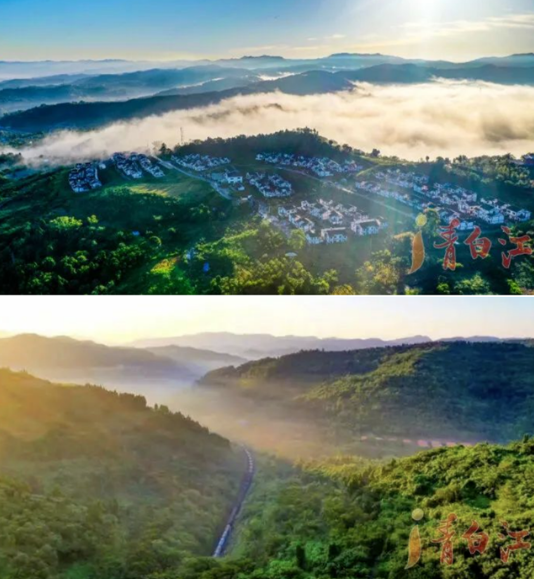 （转载）成都市青白江区住建局：“三个坚持”固本强基 筑牢中心镇创建支撑