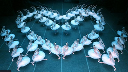 國際視野下的芭蕾創作與表演