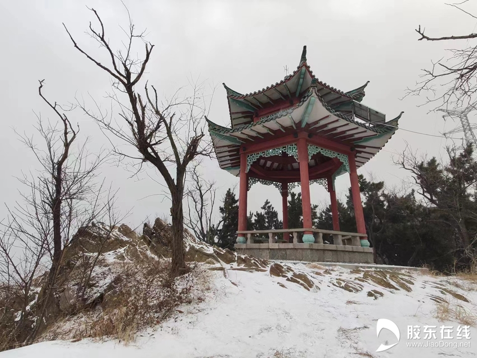 组图：烟台迎来今冬首场降雪