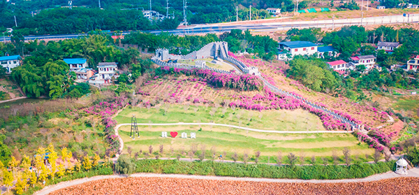 自贡贡井区：五彩荷园 冬日满园锦绣_fororder_2荷园鸟瞰