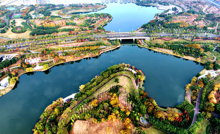 眉山仁寿:公园建设 增绿添彩惠民生_fororder_航拍仁寿湿地公园-供图