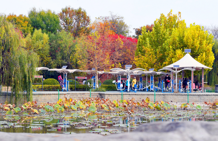 交通织网、科创赋能、生态联动 廊坊正加速崛起在京津走廊之上