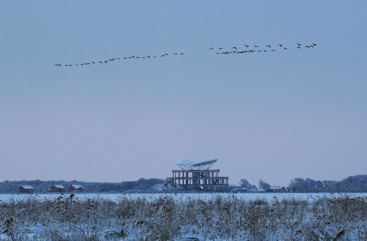 又是一年飘雪时 黑龙江倾情推介47个冰雪风光主题目的地