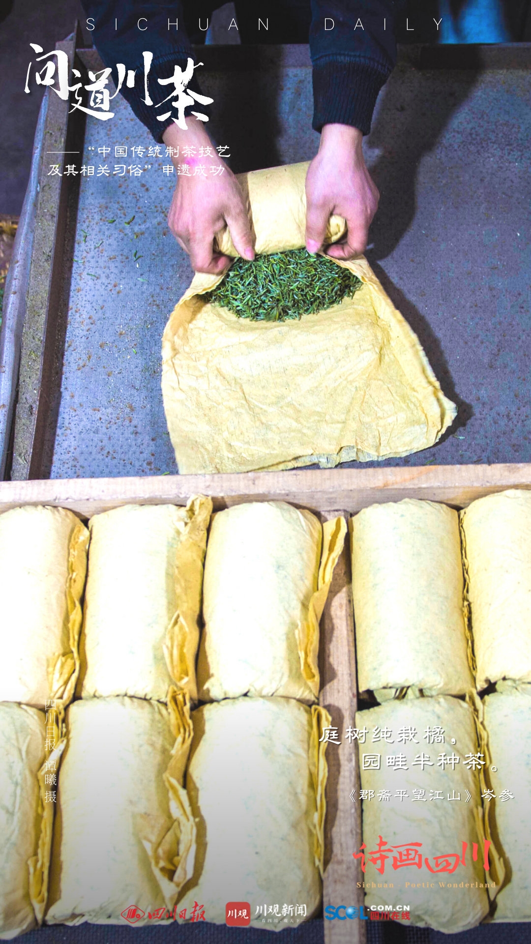 （转载）诗画四川｜ 问道川茶——中国传统制茶技艺及其相关习俗申遗成功