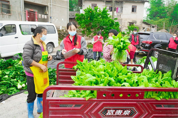 重慶北碚：臨時“經紀人”解決村民蔬菜滯銷難題_fororder_圖片1