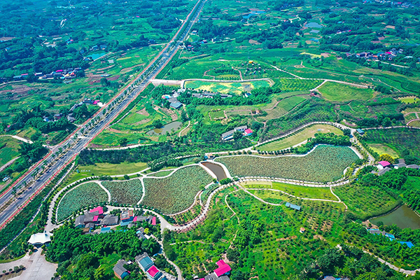 自贡贡井区五彩荷园冬日满园锦绣