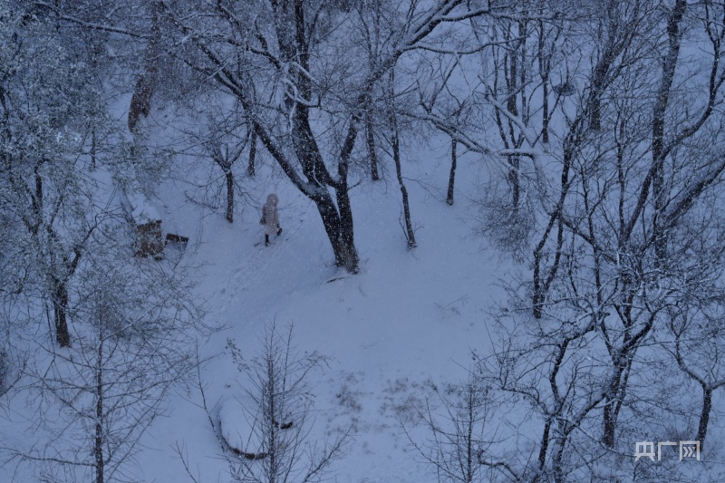 大連初雪，在冬天開始的這天