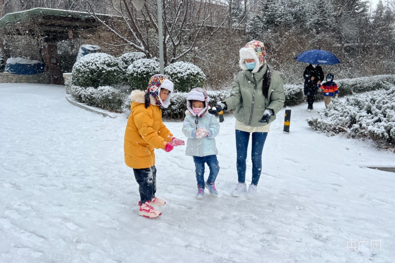 大连初雪，在冬天开始的这天