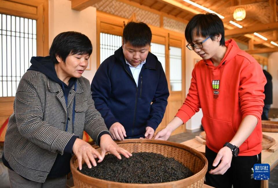 走進武夷山，來看武夷岩茶“岩骨花香”的奧秘