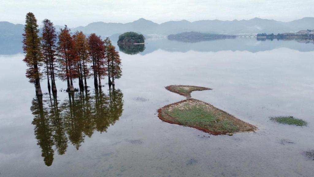 浙江余姚：池杉漸紅，湖景如畫