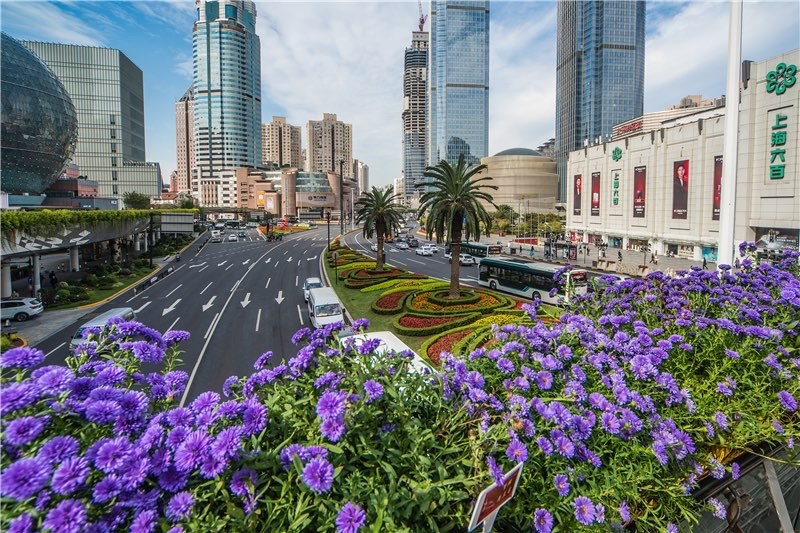 【图说上海】上海2022年立体绿化总量达550万平米以上