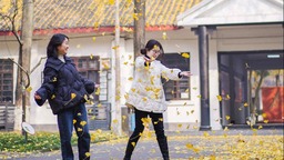 （转载）四川彭山：冬日银杏扮靓城市街景