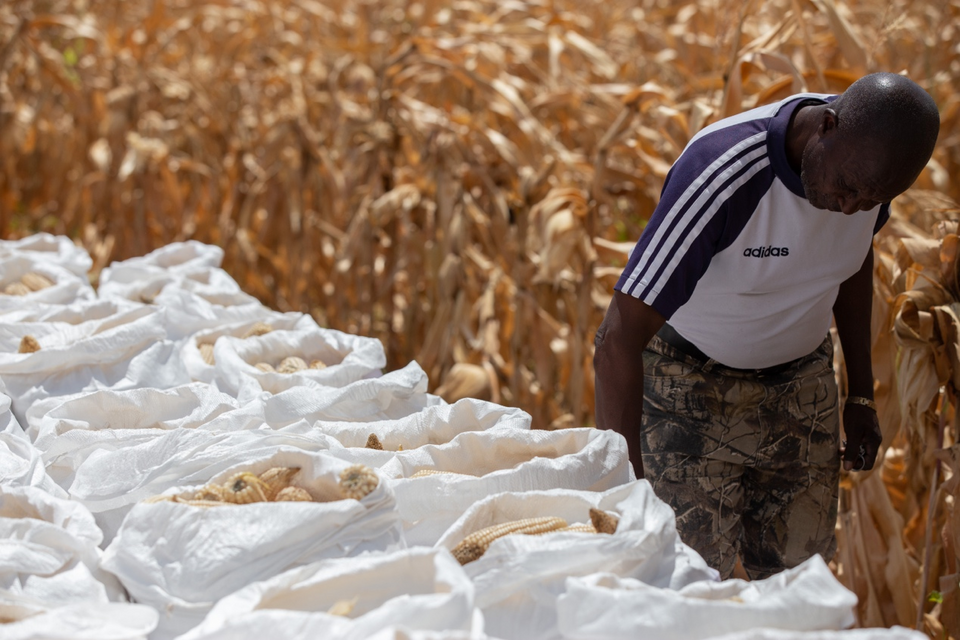 “非”说不可2022丨中非友谊看得见 合作成果摸得着