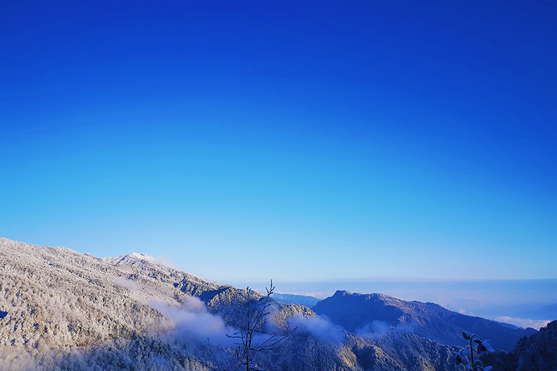 漂亮！雪后的瓦屋山宛如童话世界_fororder_摄影--宋佳铃3