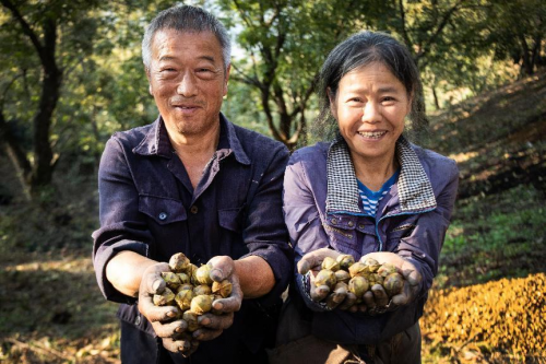 连续7年销量领先，良品铺子用品质年货解锁年味