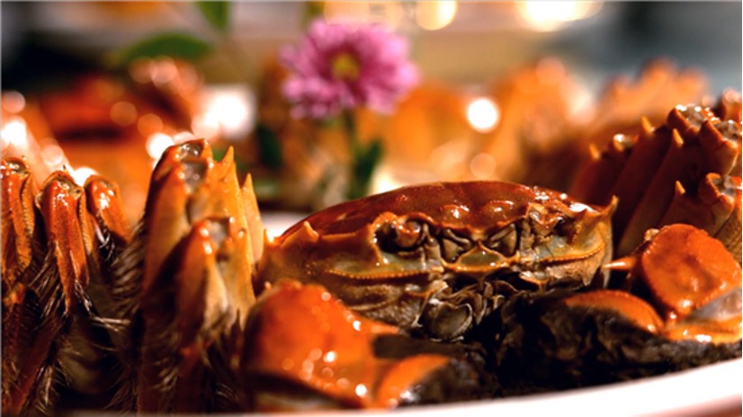 Tasting Huaiyang Cuisine along the Canal in Huai'an: Hongze Lake Hairy Crab - Bred by Hongze lake and Breeding Hongze Economy_fororder_图片 2