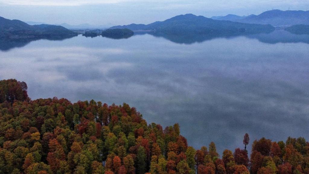 浙江余姚：池杉漸紅，湖景如畫