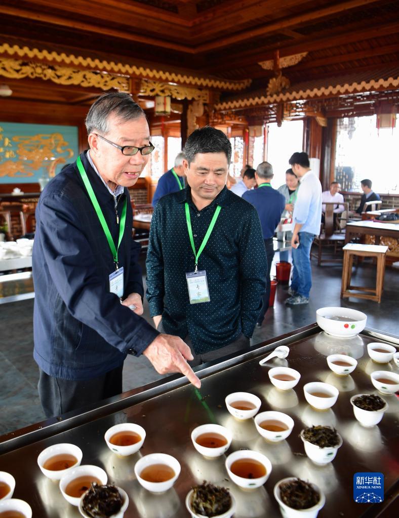 走進武夷山，來看武夷岩茶“岩骨花香”的奧秘