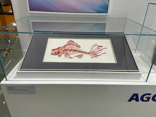 言谈霓虹：从五届进博会看AGC的微笑曲线