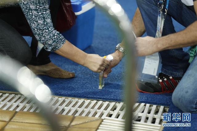 跳水池水變綠?國際泳聯稱水質很安全