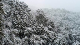 千島湖高山下雪了