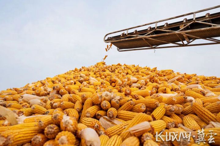 河北省农业农村厅：加快建设农业强省 促进农业高质高效