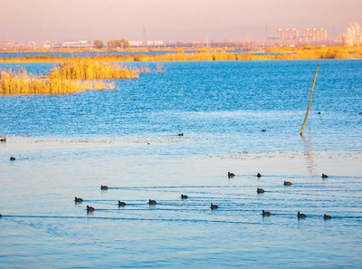 积极推动绿色发展 促进人与自然和谐共生