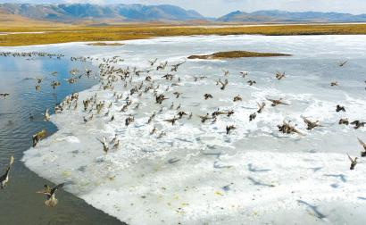 若尔盖国家公园创建进入最后冲刺